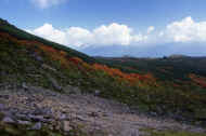 06_aki_photo-25.jpg (56168 バイト)