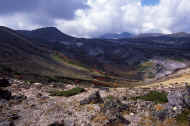06_aki_photo-27.jpg (68671 バイト)