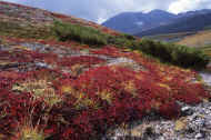 06_aki_photo-35.jpg (92088 バイト)