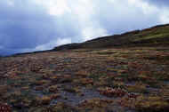 06_aki_photo-36.jpg (62805 バイト)