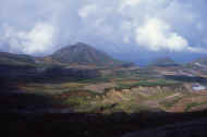06_aki_photo-39.jpg (33250 バイト)