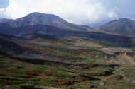 06_aki_photo-40.jpg (48606 バイト)