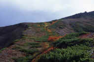 06_aki_photo-41.jpg (52232 バイト)