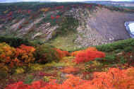 06_aki_photo-42.jpg (85770 バイト)
