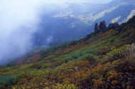 06_aki_photo-44.jpg (50851 バイト)