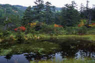 06_aki_photo-45.jpg (78171 バイト)