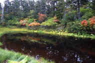 06_aki_photo-46.jpg (87563 バイト)