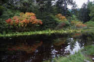06_aki_photo-47.jpg (79190 バイト)