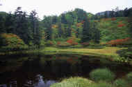 06_aki_photo-48.jpg (58768 バイト)