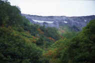 06_aki_photo-51.jpg (45663 バイト)