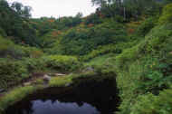 06_aki_photo-52.jpg (63489 バイト)