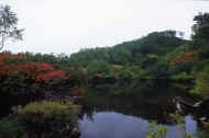06_aki_photo-53.jpg (43629 バイト)
