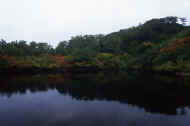 06_aki_photo-54.jpg (26441 バイト)