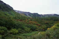 06_aki_photo-56.jpg (49262 バイト)