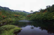 06_aki_photo-57.jpg (38543 バイト)