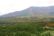 06_aki_photo-5.jpg (47271 oCg)