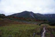 06_aki_photo-60.jpg (37872 バイト)