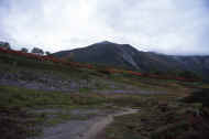 06_aki_photo-61.jpg (36821 バイト)