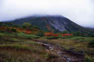 06_aki_photo-62.jpg (44711 バイト)