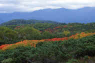 06_aki_photo-63.jpg (53264 バイト)
