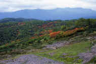 06_aki_photo-64.jpg (63452 バイト)