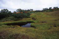 06_aki_photo-65.jpg (52308 バイト)