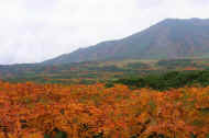 06_aki_photo-6.jpg (54585 oCg)