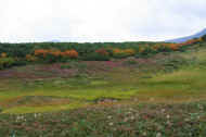 06_aki_photo-7.jpg (51338 oCg)