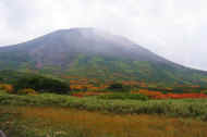 06_aki_photo-8.jpg (41305 oCg)