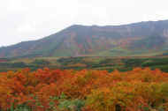 06_aki_photo-9.jpg (50264 oCg)