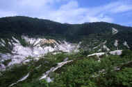 06_natu8_photo-10.jpg (56024 バイト)