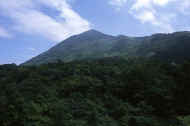 06_natu8_photo-11.jpg (31084 バイト)