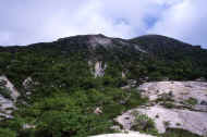 06_natu8_photo-12.jpg (51980 バイト)