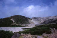 06_natu8_photo-13.jpg (38015 バイト)