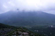 06_natu8_photo-16.jpg (22967 バイト)