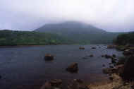 06_natu8_photo-17.jpg (26112 バイト)