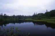 06_natu8_photo-18.jpg (23797 バイト)
