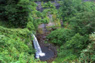 06_natu8_photo-19.jpg (87404 oCg)