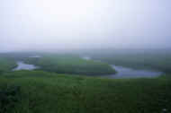06_natu8_photo-20.jpg (19275 oCg)