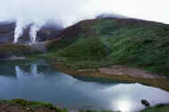 06_natu8_photo-28.jpg (36225 バイト)