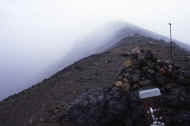 06_natu8_photo-29.jpg (27280 バイト)