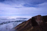 06_natu8_photo-31.jpg (25583 バイト)