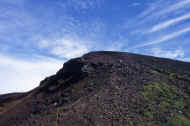 06_natu8_photo-34.jpg (46299 バイト)