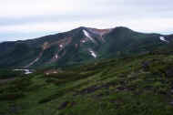 06_natu8_photo-41.jpg (35508 バイト)