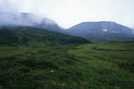 06_natu8_photo-42.jpg (32133 バイト)
