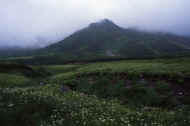 06_natu8_photo-43.jpg (32676 バイト)