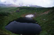 06_natu8_photo-44.jpg (31444 バイト)