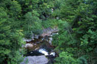 06_natu8_photo-6.jpg (77509 oCg)