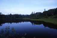 06_natu8_photo-8.jpg (24463 oCg)