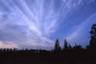 06_natu8_photo-9.jpg (21193 oCg)